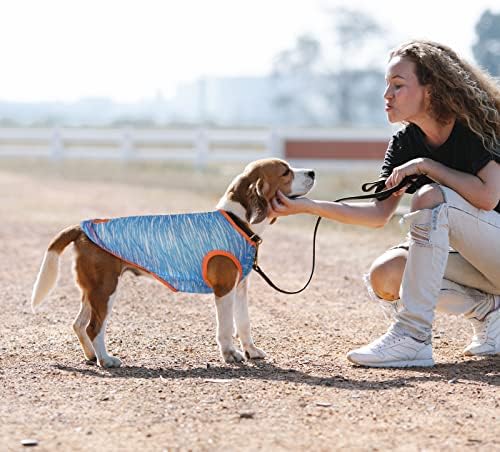 Conjunto de 2 camisas de cachorro Camisas de verão para cachorros para cães pequenos cães fofos menino tampo tops de roupas