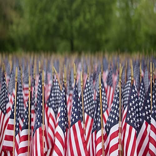 Beleco 10x10ft Fabric Flags American Batrent Patriótico American Bandel