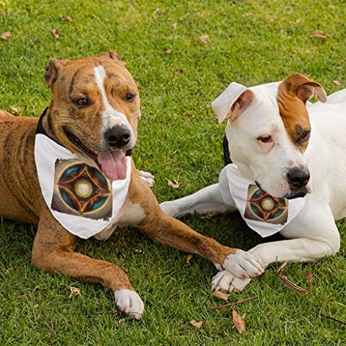 Resumo Floral Pet Bandana Collar - colar de cachecol geométrico - cão caleidoscópio Bandana - L