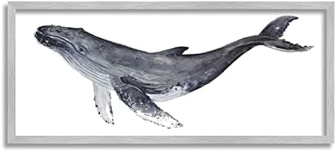 Stuell Industries Whiffluge Whale Whale Pintura Aquática Aquática Retrato Animal Gray Arte da parede emoldurada, 30 x 13