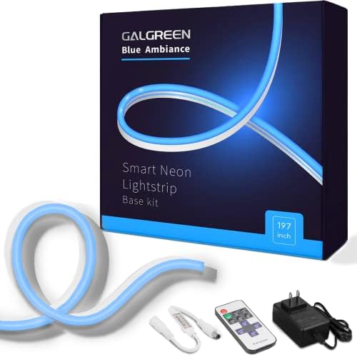 Luzes de corda de neon da Galgreen, luzes de corda de 16,4 pés com remoto e adaptador diminuídos, luzes de tira de LED