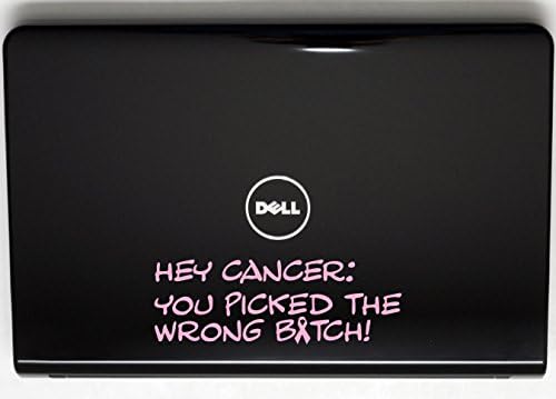 Hey Cancer: Você escolheu o B*tch errado - rosa - 8 x 2 3/4 Decal