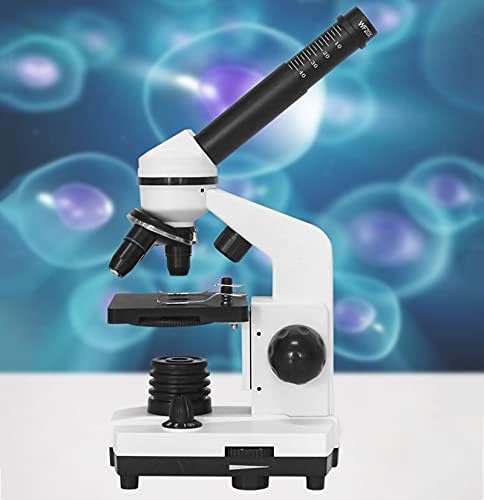 Composto Profissional de Microscópio Biológico Profissional Microscópio Microscópio Microscópio Microscópio Microscópio
