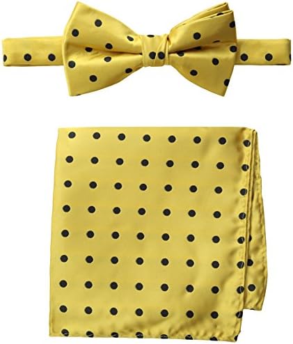 Stacy Adams Men's Satin Dot Dot Bow Tie Set