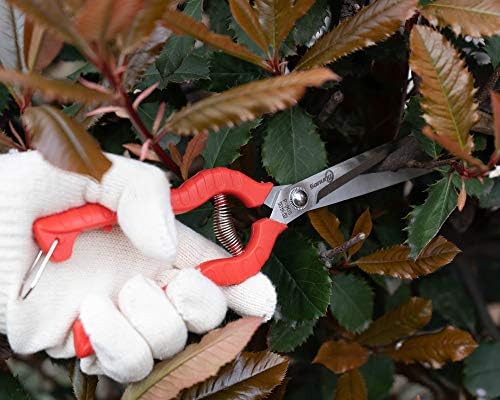 Sanung 2 Pack Multifuncional Tesoura de frutas finas, P-905 Garden Pruner Shears Cutters com Anti-Slip GRIP GRAF Spring Lock