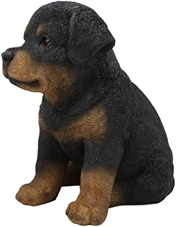 Ebros realista realista Rottie Rottweiler Puppy Dog estátua 6.25 Alto Pedigree Butcher's Dogcher Raia Galeria de