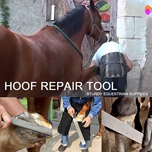 Ferramentas Farrier UJD Kits de ferramentas profissionais Farrier HOOF HOOF CHUPERS HOOF CORMES DE HOOF TRIMERS FERRAMENTAS ADIFICADAS