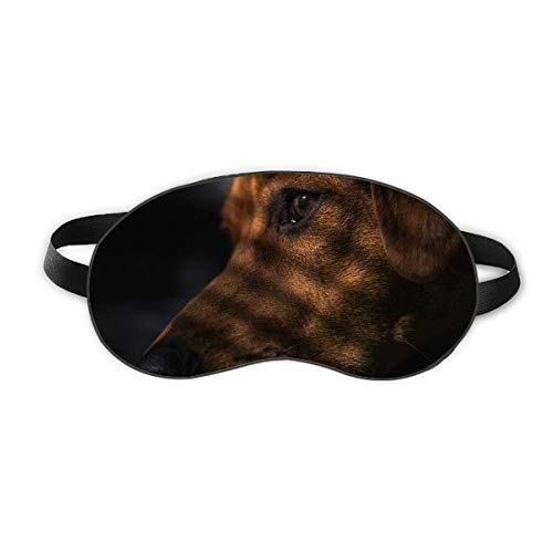 Cachorro de animal de estimação de animais de estimação Sentimental Sleep Sleep Shield Soft Night Blindfold Shade Cover