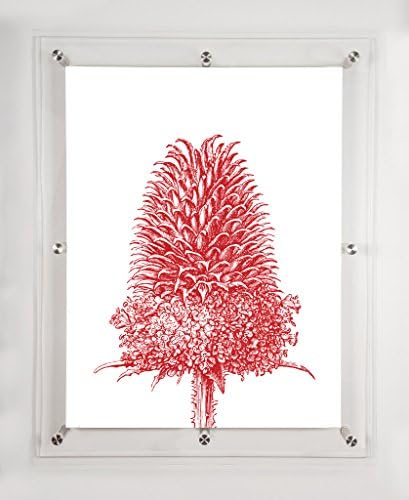 Thistle Scarlet, 31,5x25.5in.