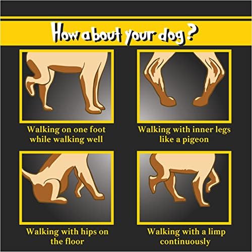 Aparecimento do joelho de cão de dignidade para suporte ao joelho - brace de joelho de compressão dupla para cães - aparelho de perna