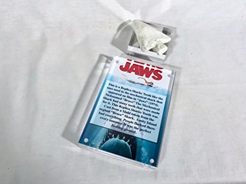 Jaws, dente de tubarão Bruces, placa de exibição de acrílico com arte de pôster do filme