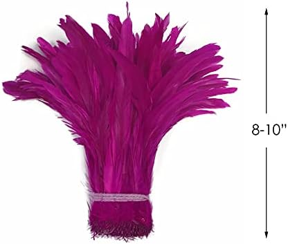 Faixa de 2,5 polegadas - Fuchsia rosa Bleach natural e caudas de coque tingidas Feathers Mardi Gras Carnival Formulário