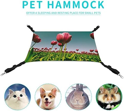 CAT Hammock Tulip Cat Bed Cage Window Polding Salping Space Economizando para pequenos animais de estimação 16,9 x13