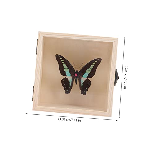 AMOSFUN 4 CONSULHOS DE Amostra de borboleta Decoração de mão Decoração decorativa Decorações de escritório Decoração de