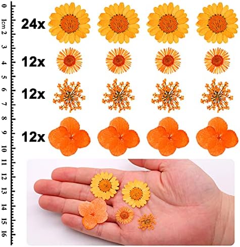 60pcs Real prensado flores secas para resina artesanato, flores secas naturais para fazer vela para fazer resina jóias capa DIY