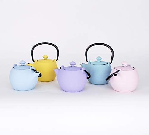 Hinomaru Collection Oficina artesanal Mini chaleira de chá de chá japonês bule de ferro fundido com infusador de aço inoxidável 10 fl