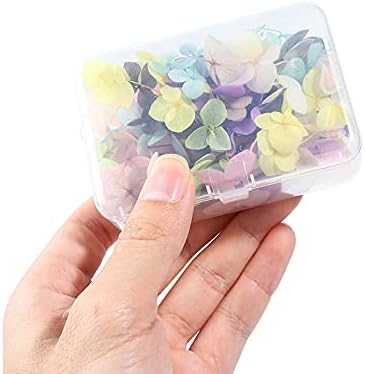 Vanchief 100 PCs 3D Flores secas coloridas, flores naturais reais suprimentos de decoração de arte de unhas Acessórios para