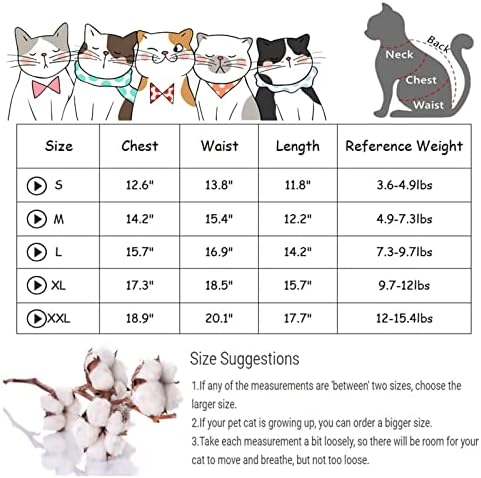 Sphynx Cat Summer Roupos para gatos Apenas camisetas de algodão de animal fofo colete de pulôver respirável macio com camisas