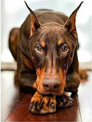 Eadmiey Round Diamond Painting Doberman Dog Diy Rhinestone Borderyer Art Adult By Number Painting Craft Kit para Decoração