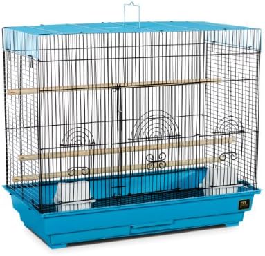 Prevue Hendryx Flight Cage, azul e preto