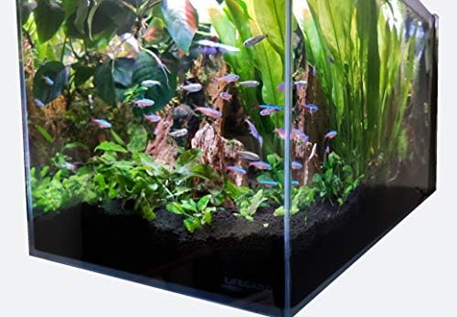 Lifegard Aquatics 14,26 Galôs Kit de Aquário de Crystal Aquarium estilo com filtro lateral embutido - aquecedor,