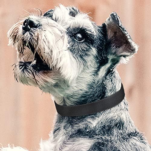 Petjoy Barking Collar com tiras totais de 3 colarinho