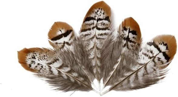 Ttndstore reeves veney faisão cauda penas de 5 a 15 cm de decoração de campanula de roupas para jóias que produzem plumas decorativas