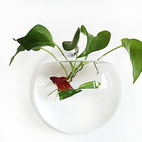 Noodoky Betta Fish Tank Bowl 9in, peixe beta montado na parede Aquário pequeno, decoração de parede de plástico pendurada para