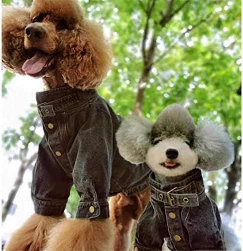 Cães de animais de estimação camisa jeans fria para filhote pequeno e poodle gigante