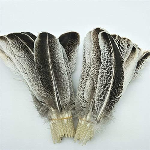 Ttndstore as penas de águia natural para jóias que fazem decoração de decoração de carnaval de penas de casamento plumas