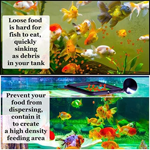 Anel de alimentação de alimentos de peixe solar, pare a turbulência de água de lavar alimentos e flutuar plantas em filtro,