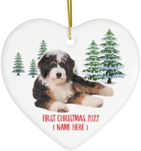 Nome personalizado Ano personalizado Bernedoodle Firl First 2023 Árvores de Natal Presentes de Ano Novo 2024 Decorações Cerâmica