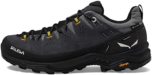 Treinador Salewa Alp 2 GTX Sapato - Men