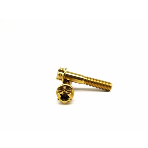 Rison Titanium Bolts M6 * 1,0 * 25 parafusos de titânio Torx para motocicletas Hex Hex Head Dual Dual Gold Titanium