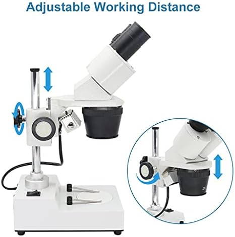 Microscópio estéreo binocular Llamn