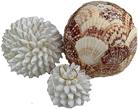 Heyiwell Mixed Cay Cay Shell Orb, esfera da concha, bolas de cascas, bolas decorativas para tigelas Vasos Tabela de jantar de 6 polegadas