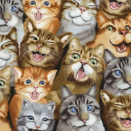 'Nugglebuddy novo! Microwavable Humor Heat & Aromaterapia Pacote de arroz orgânico para amantes de gatos e gatinhos! Abordagem da